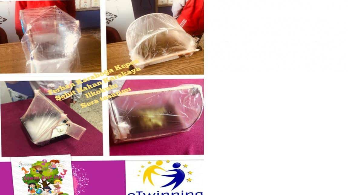 Stem for Life  eTwinning Projesi