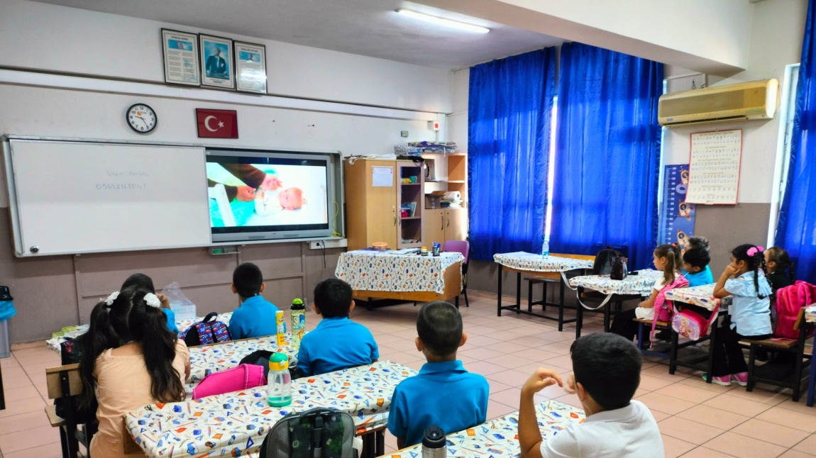 İlk Dersimiz: Yeşil Vatan'ımız